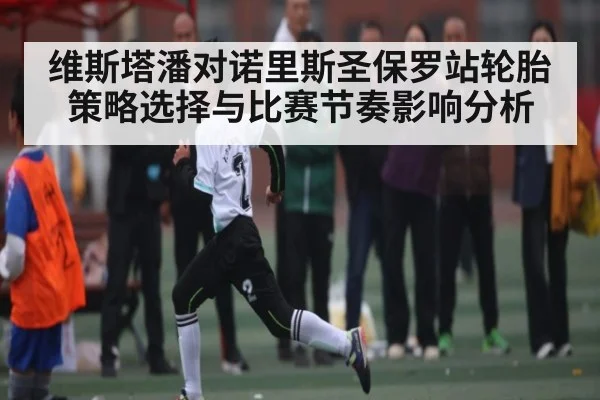 维斯塔潘对诺里斯圣保罗站轮胎策略选择与比赛节奏影响分析